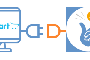 coinsnap for opencart